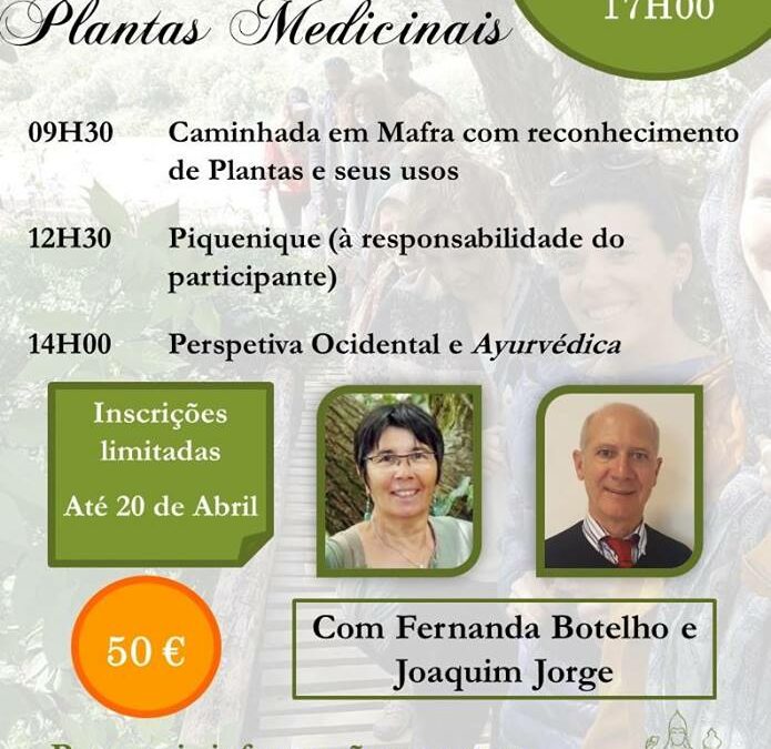 Reconhecimento de Plantas Medicinais – Caminhada em Mafra, 25 de Abril