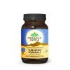 Turmeric-Formula-Organic-India-imunidade-inflamação