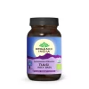 Tulsi Holy Basil Organic India respiração tosse stress