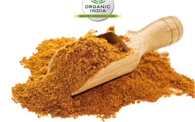 NOVIDADE – Rapadura (Açúcar de cana integral) Bio Organic India™