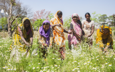 A Organic India e o empoderamento das mulheres