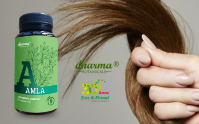 Amla – benefícios para a saúde do cabelo