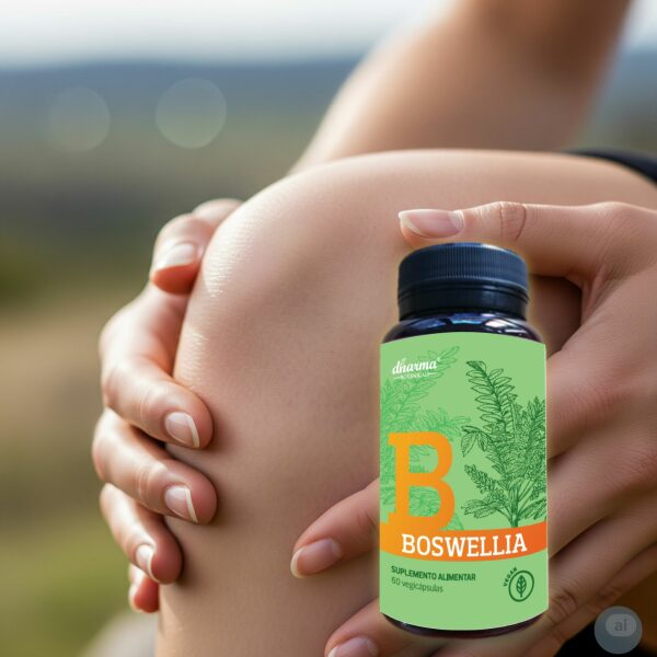 Boswellia Dharma Botanicals® - 60 vegicápsulas - Image 3