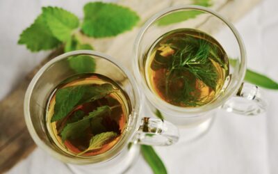 Evidência e Aplicações Clínicas do Chá Verde e da Hortelã-Pimenta