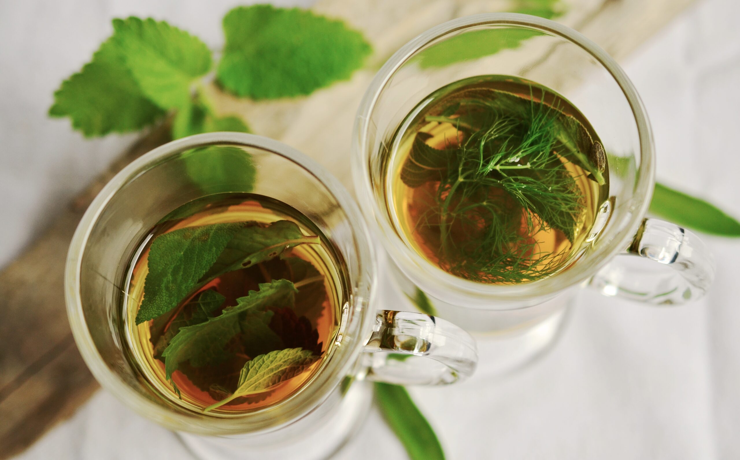 cha verde e infusão de hortela pimenta beneficios funcionais verao